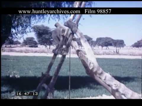 Farming Community In Niger, 1970s - Film 98857