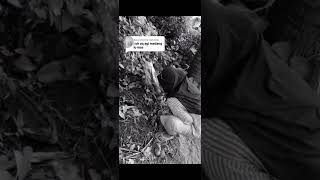 Download lagu Wanita muntah suaranya sanga besar dan lumayan keluar mp3 Download lagu Wanita muntah suaranya sanga besar dan lumayan keluar mp3