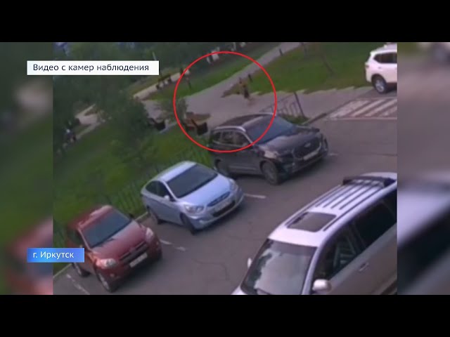 В Академгородке на ребенка напала собака