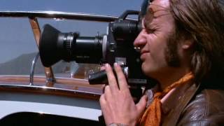 Can &quot;She Brings the Rain&quot; A Big Grey-Blue Bird 1969