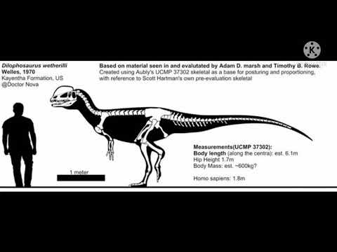 Dilophosaurus and Cryolophosaurus  comparison