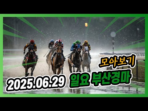 2025년 6월 29일 일요 부산경마 전체경주 모아보기