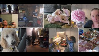 Costco Haul, Under the Weather...Chit Chat...Cleaning..Vet Appt... Horseplay!