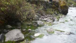 preview picture of video 'AGUITA DE ANCHUCAYA -ORQUESTA TROPICAL - LOS CHELEROS DE HUAROCHIRI DE PABLITO SAAVEDRA'