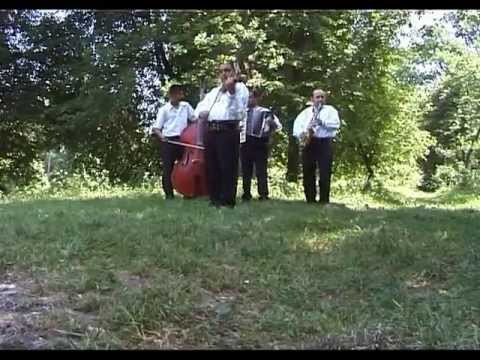 Ceteraş de pe Câmpie - Pe doi paşi ca la Zau