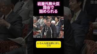 岩屋外務大臣、国会で詰められる #ニュース #政治 #shorts #岩屋外務大臣