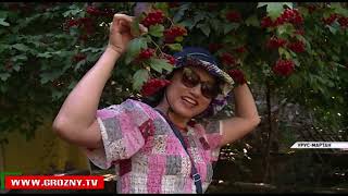 Чеченская Республика в центре внимания туристов 