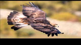 El cielo es el límite - Tercer cielo #tercercielo @tercercielotv