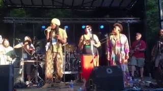 Buffalo Afrobeat - Live at Buffalove 2016