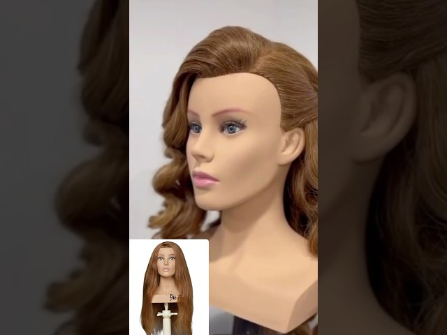 مانيكان كتف أوربي بني