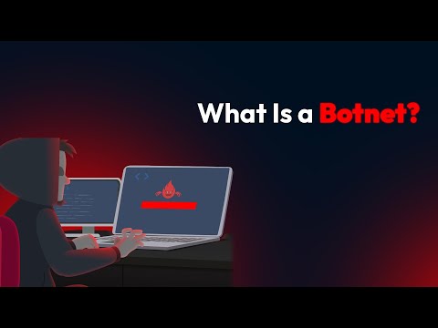 What Is a Botnet?
