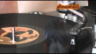 Alejandra Guzman - Hay Punkies En Moscu - Vinyl LP version