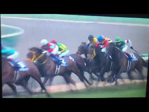有馬記念 2018年12月23日