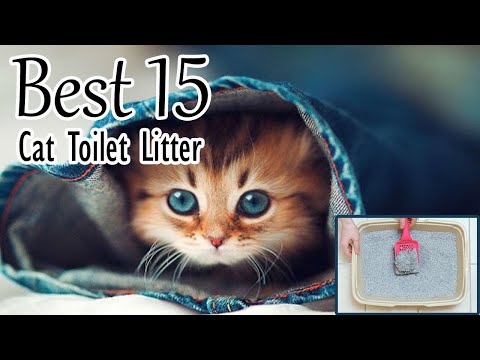 15 Best Cat Toilet Litter Options for a Fresh &...