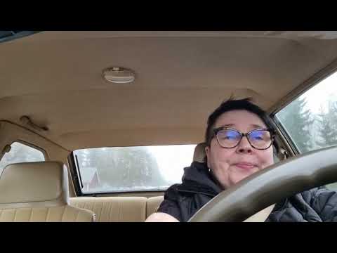 Pii lääkärireissulla. Pii the cat to vet.