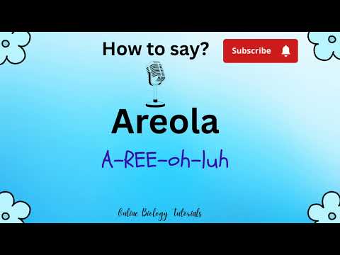 How to say Areola | Areola | How to pronounce Areola | Learning Pronunciation