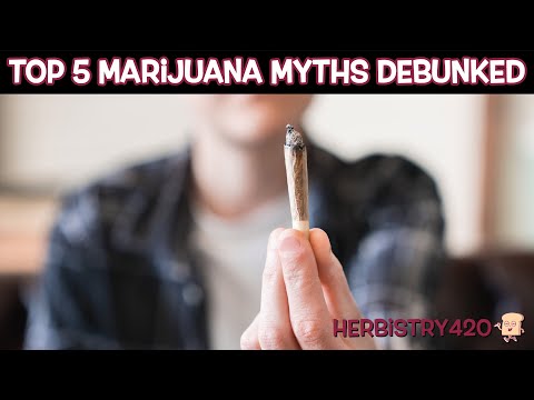 Cannabis Myths Debunked: Top 5 Busted by Science