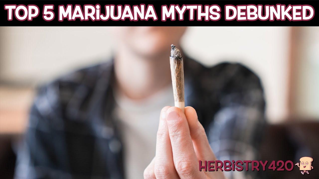 Cannabis Myths Debunked: Top 5 Busted by Science