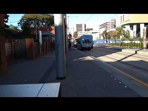 Sydney Bus Run behind Light Rail