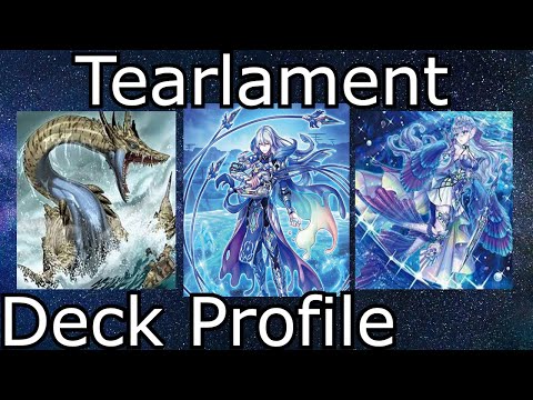 Top 64 Euros Tearlament Danger!?!? Deck Profile - Ammad Raja Yu-Gi-Oh! 2022
