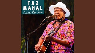 EZ Rider (Live)