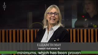 Download lagu Elizabeth May discusses mandatory minimum sentencing mp3