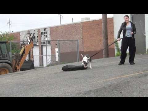 Kush Training 5 22 11