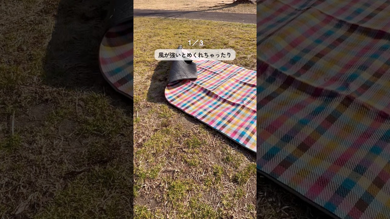 【お花見】ピクニック#暮らしのアイデア #暮らしチャンネル #暮らしの知恵 #プチ知識 #ライフハック