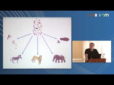 Elhanan Borenstein: "Multi-omic and model-based analysis of microbiomes"