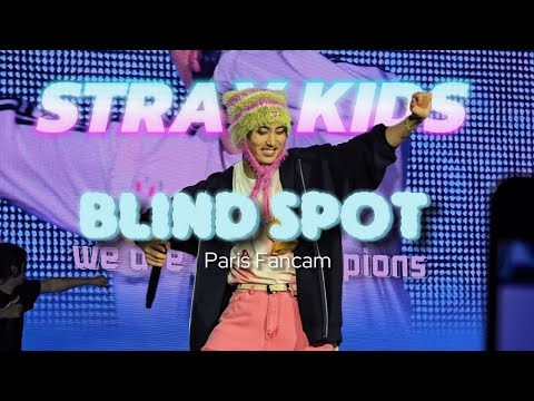 Stray Kids - Blind Spot 사각지대 Live Perfomance in Paris 2025 DominATE World Tour Fancam