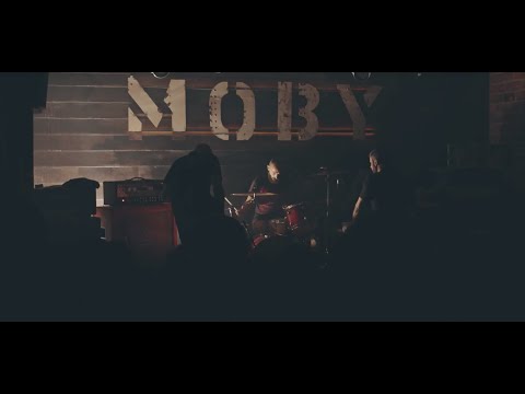 A short film about Le Temps Du Loup