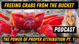 Reaching Our Potential with Proper Attribution Pt 1.
