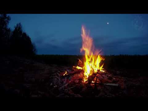 Peaceful Campfire at Sunrise - 5K Nature Relaxation Video with Crackling Fire Sounds