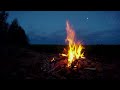 Peaceful Campfire at Sunrise - 5K Nature Relaxation Video with Crackling Fire Sounds