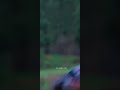 Chune Se Tere Ha Tere Whatsapp Status