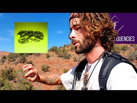 Moldavite For Protection. (Moldavite Crystal MAIN Benefit)