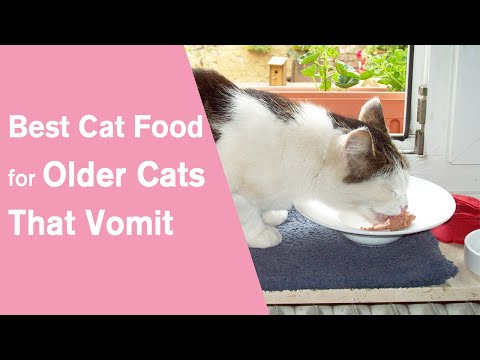 Best Cat Food for Older Cats That Vomit