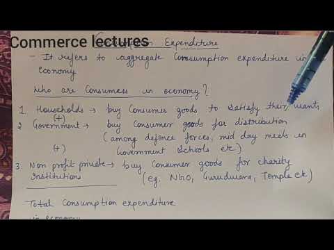 Classification of goods final and intermediate goods meaning and difference class 12