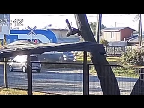 Tren chocó con auto en cruce ferroviario de Molina | 24 Horas TVN - Red Maule