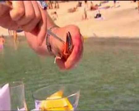 Bertils Semestertips - Episode 2 av 8 (Julenøttene 2006)