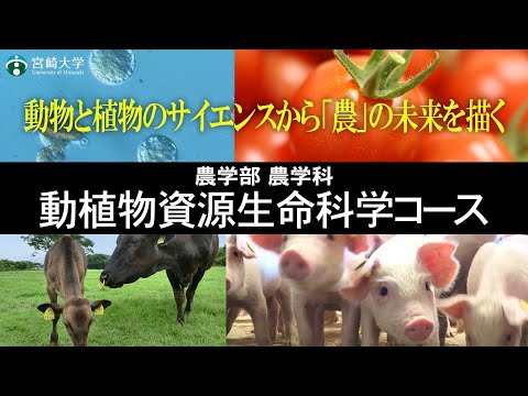 【動物と植物のサイエンスから「農」の未来を描く】宮崎大学農学部｜農学科・動植物資源生命科学コース