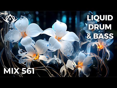 Liquid Drum and Bass Mix 561