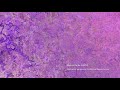 Michael Torke: PURPLE