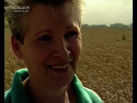 SternTV Kornkreis Fälschung