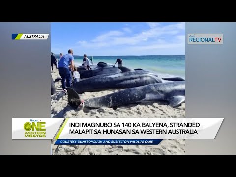 One Western Visayas: Indi magnubo sa 140 ka balyena, stranded sa hunasan sa Western Australia