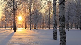 המעט טוב | אבני דרך יסודות ועיונים בדרכו ותורתו של רבי נחמן מברסלב זיע"א (הרב ברוך זרובבל) - התמונה מוצגת ישירות מתוך אתר האינטרנט יוטיוב. זכויות היוצרים בתמונה שייכות ליוצרה. קישור קרדיט למקור התוכן נמצא בתוך דף הסרטון
