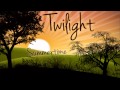 Twilight // Summertime