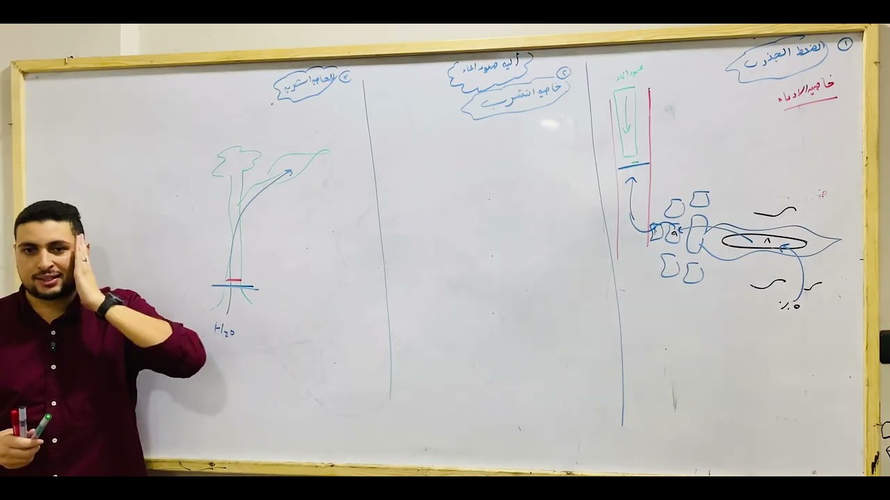 💧 آلية نقل الماء في النبات  | الضغط الجذري والتشرب وقوة الشد الناتجة عن النتح