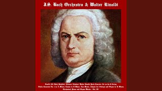 Download lagu Canon and Gigue in D Major. I Canon mp3