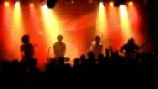 Bunnies HORSE THE BAND